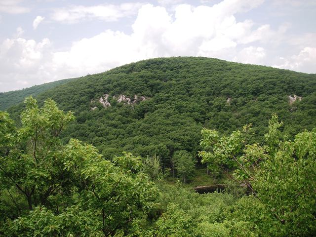 Wantastiquet over Indian Pond from Ann Stokes Loop